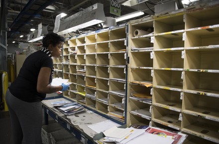 Postal Employee Sorts Incoming Mail Us Editorial Stock Photo - Stock ...