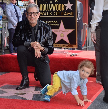 Jeff Goldblum Fame Walk, Los Angeles, California, United States - 14 Jun 2018