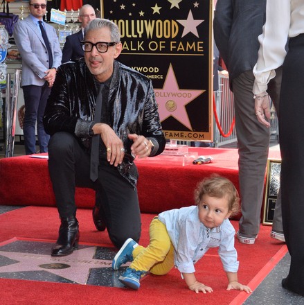 Jeff Goldblum Fame Walk, Los Angeles, California, United States - 14 Jun 2018