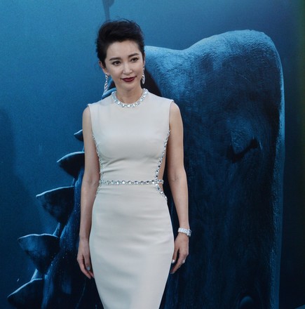 1,000 Li bingbing Stock Pictures, Editorial Images and Stock Photos |  Shutterstock