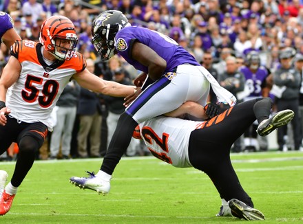 Cincinnati Bengals Defensive Back Clayton Fejedelem Editorial Stock Photo -  Stock Image