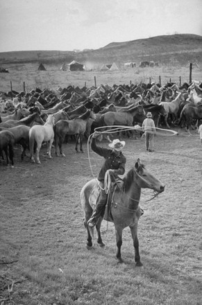 Cowboy Clarence H Long Swinging Lasso Editorial Stock Photo - Stock ...