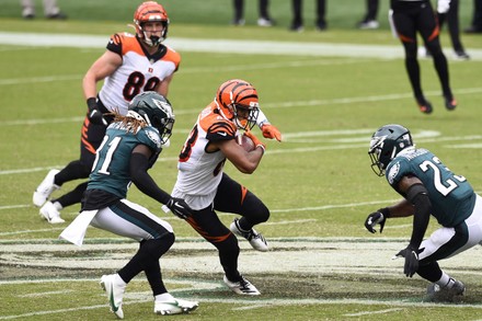 GALLERY: Cincinnati Bengals at Philadelphia Eagles, September 27