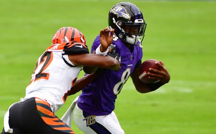 Baltimore Ravens Quarterback Lamar Jackson 8 Editorial Stock Photo