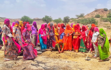 Women Plant Tree On Khejdli Sacrifice Editorial Stock Photo - Stock ...