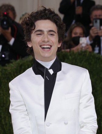 Timothee Chalamet Editorial Stock Photo - Stock Image | Shutterstock