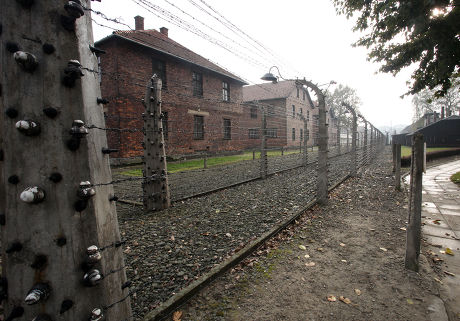 Crematorium 1 Oven Auschwitz Birkenau Concentration Editorial Stock ...