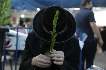 Ultraorthodox Jews Carry Palm Branches Used Editorial Stock Photo ...