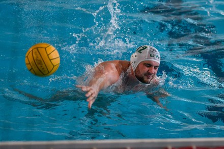 51 Azs uw waterpolo warsaw Stock Pictures, Editorial Images and Stock ...