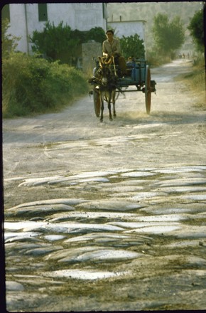 Muledrawn Cart Travelling Along Ancient Appian Editorial Stock Photo