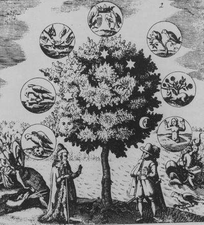 Engraving Alchemical Tree Representing Allegorical Figures Editorial ...