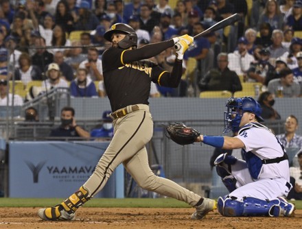 San Diego Padres Fernando Tatis Jr Editorial Stock Photo - Stock Image