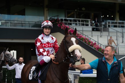 Jockey David Egan On Horse Dinoo Editorial Stock Photo - Stock Image ...