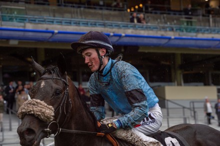 Jockey David Egan Looking Nice Muddy Editorial Stock Photo - Stock ...