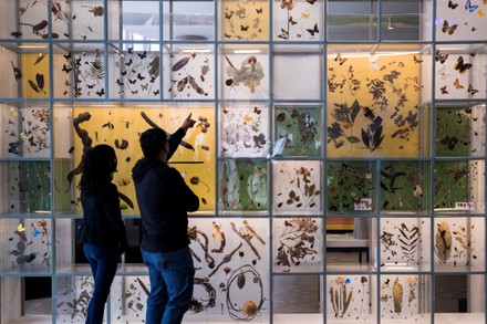 UNAM opens its Biodiversity Pavilion with the support of the Slim Foundation, Mexico City - 05 Oct 2021