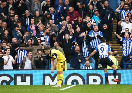 Lee Gregory Sheffield Wednesday Celebrates Scoring Editorial Stock ...