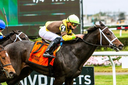 __COUNT__ Horse Racing Joe Hirsch Turf Classic Day, Elmont, USA - 08 ...