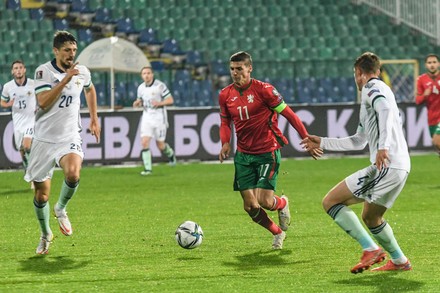 Andrea Hristov 3 Bulgaria During Fifa Editorial Stock Photo Stock   Shutterstock 12536400g 