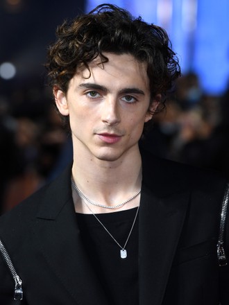 Timothee Chalamet Editorial Stock Photo - Stock Image | Shutterstock