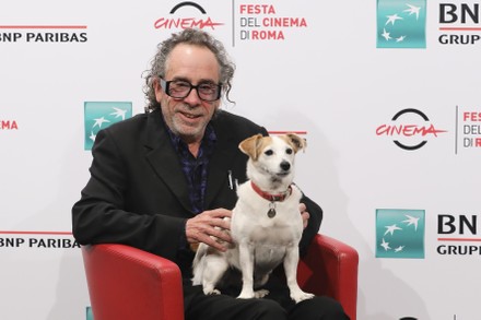 Tim Burton Dog Levi Editorial Stock Photo - Stock Image | Shutterstock