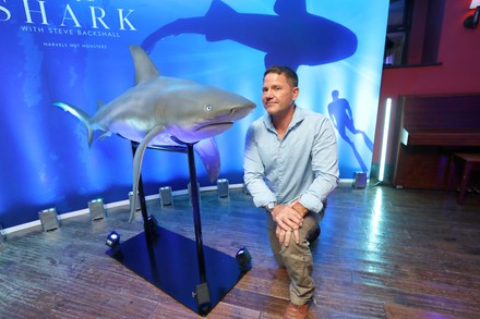 Sky Original Documentary 'Shark' with Steve Backshall screening, Picture House Centralin, London, UK - 26 Oct 2021