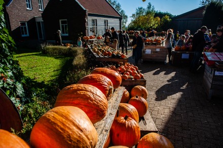 Halloween Season Has Started In The Netherlands, Nijmegen - 24 Oct 2021