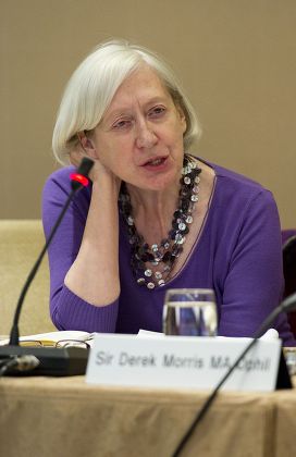 Committee meeting for Standards in Public Life, Queen Anne's Gate, London, Britain - 23 Nov 2010