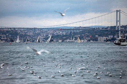 presidential international yacht race