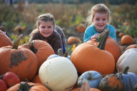 Halloween celebrations, pumpkin picking, Titchfield, UK - 31 Oct 2021