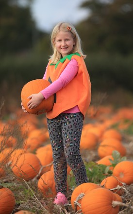 Halloween celebrations, pumpkin picking, Titchfield, UK - 31 Oct 2021