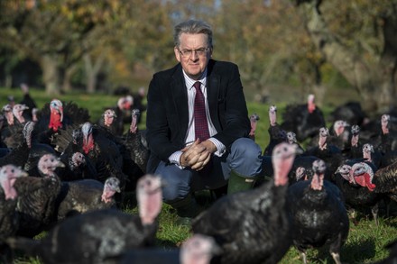 Copas Turkey farm, Cookham, Berkshire, UK - 23 Oct 2020