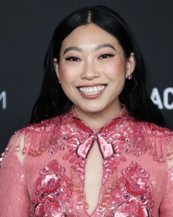 500 Actress awkwafina Stock Pictures, Editorial Images and Stock Photos ...