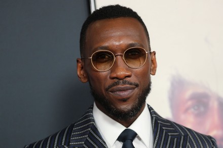 Mahershala Ali Editorial Stock Photo - Stock Image | Shutterstock