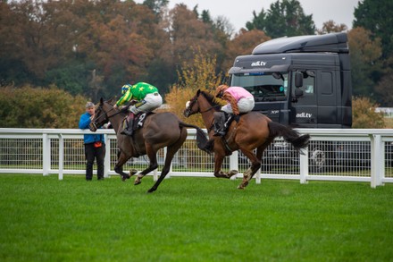 November Racing Weekend, Ascot Racecourse, Ascot, Berkshire, UK - 19 Nov 2021