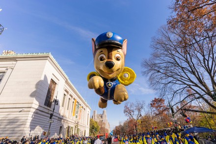 17 Chase paw patrol Stock Pictures, Editorial Images and Stock Photos ...