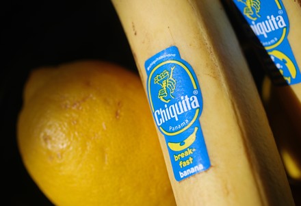 4 Chiquita logo Stock Pictures, Editorial Images and Stock Photos ...