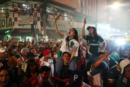 Palmeiras Fans Celebrate Triumph Their Team Editorial Stock Photo