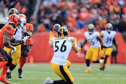 November 28, 2021: Pittsburgh Steelers outside linebacker Alex Highsmith  (56) interception attempt at the NFL football game between the Pittsburgh  Steelers and the Cincinnati Bengals at Paul Brown Stadium in Cincinnati,  Ohio.