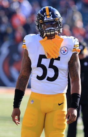 Pittsburgh Steelers Inside Linebacker Devin Bush Editorial Stock Photo -  Stock Image