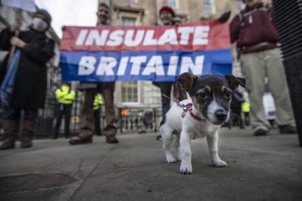 Insulate Britain protest outside Downing Street, London, UK - 30 Nov 2021