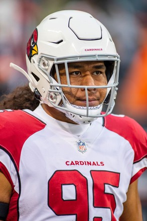 leki fotu cardinals