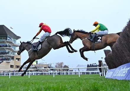 Horse Racing from Cheltenham Racecourse, UK - 11 Dec 2021