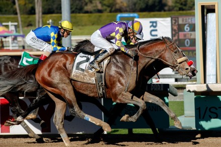Horse Racing San Antonio Stakes (Grade ll), Arcadia, USA - 26 Dec 2021