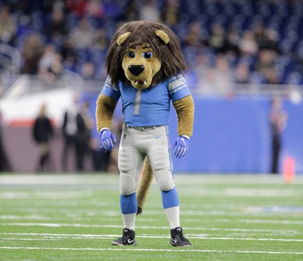 Roary (@roarynfl) • Instagram photos and videos