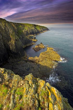 Ramsey Island Wales Britain Editorial Stock Photo - Stock Image ...