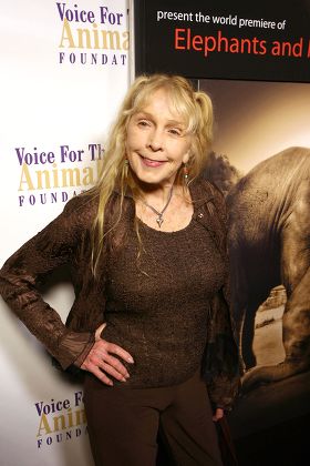 'Elephants and Man: A Litany of Tragedy', film documentary premiere, Los Angeles, America - 20 Jan 2011