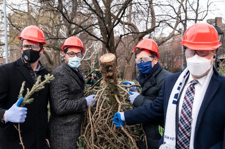 US: NYC Parks and DSNY preview upcoming mulchfest chipping weekend, New York, United States - 06 Jan 2022