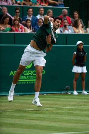 World Number One Tennis Player Novak Editorial Stock Photo - Stock ...