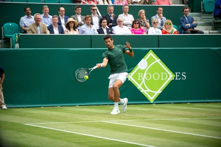 World Number One Tennis Player Novak Editorial Stock Photo - Stock ...