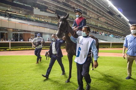 Horse Racing, Meydan, Dubai, UAE - 14 Jan 2022